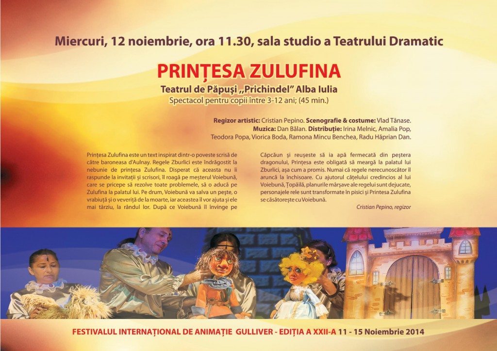 caiet program 2014-page8